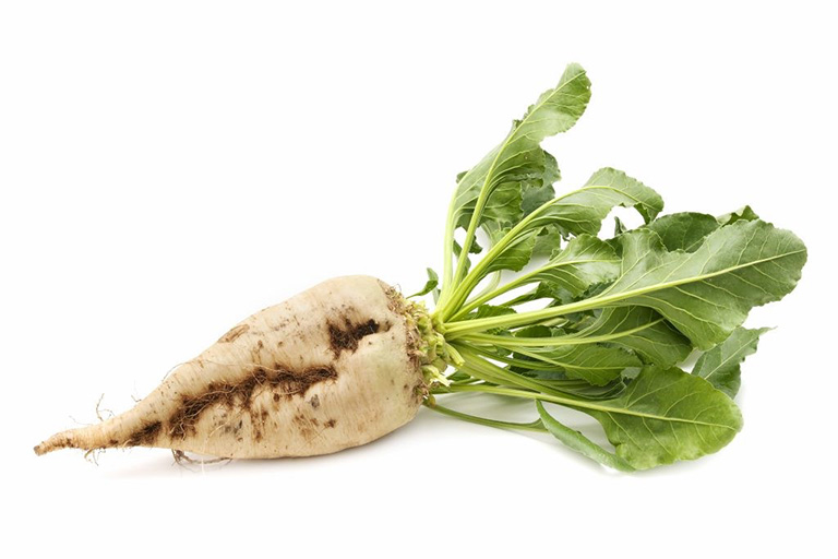 Surfactants from sugar beet by SurfactGreen