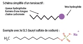tensioactifs - schéma